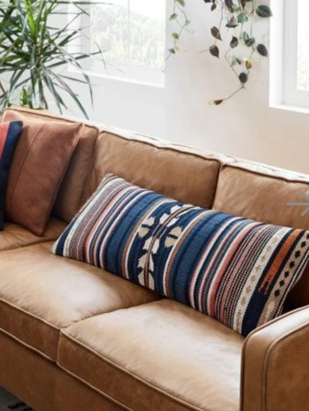 West Elm west elm